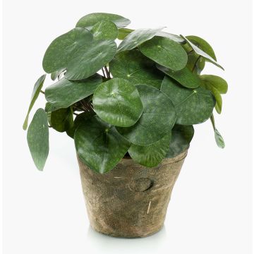 Artificial succulent ‘Chinese money plant’ SYBIL in a terracotta pot, green, 22cm