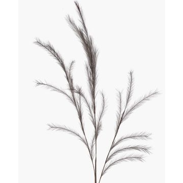 Decorative feather grass branch with panicles, YECORA, grey, 130cm Decorative feather grass branch with panicles, YECORA, grey, 130cm