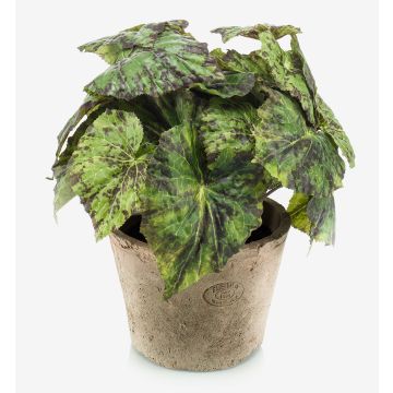 Artificial plant: MEIRA leaf begonia in a terracotta pot, bushy, green-black, 10"/25cm