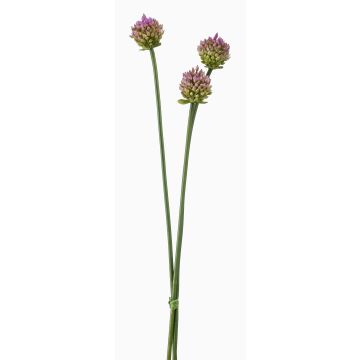 Decorative Allium bunch LAMDA, purple-green, 65cm, Ø4cm