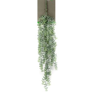 Artificial succulent Rhipsalis hanging plant TUREIS, on a stem, green-grey, 28"/70cm