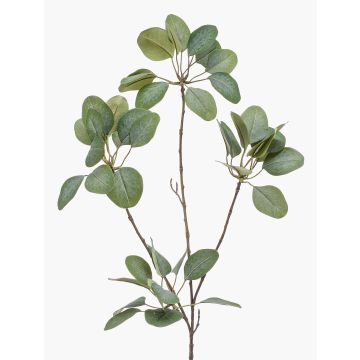 Artificial eucalyptus branch KRISZTOFER, green, 90cm