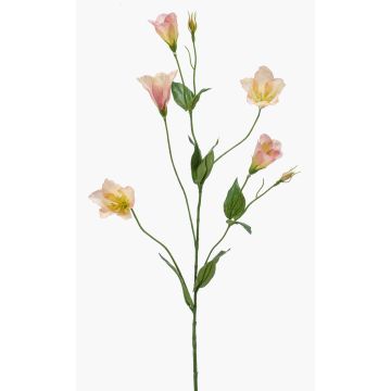 Artificial lisianthus branch PAZAN, pink-cream, 70 cm, Ø 3–5 cm