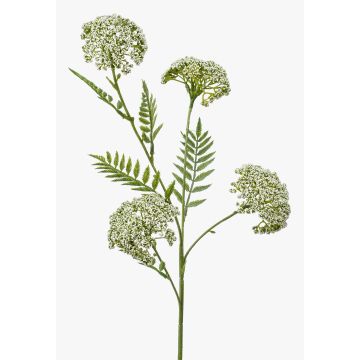 Artificial yarrow branch THUBAN, cream, 60 cm, Ø 6–7 cm Artificial yarrow branch THUBAN, cream, 60 cm, Ø 6–7 cm
