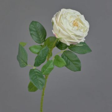 Fake rose, Kohl rose CATINCA, cream, 60cm, Ø9cm