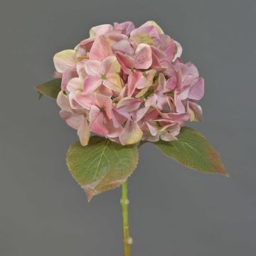 Artificial hydrangea AMARILDO, pink and yellow, 50cm, Ø16cm