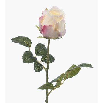 Artificial rose DIXLEN, white-pink, 70 cm, Ø7 cm