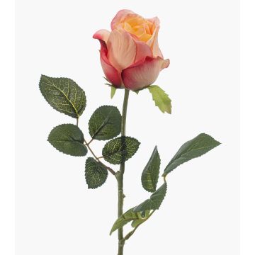 DIXLEN artificial rose, peach-pink, 70cm, Ø7cm DIXLEN artificial rose, peach-pink, 70cm, Ø7cm