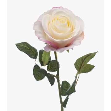 BRUNETTE artificial rose, white-pink, 70cm, Ø11cm