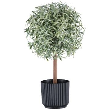 Artificial Rosemary Standard Tree WINDAR, frosted, decorative pot, green and white, 26cm Artificial Rosemary Standard Tree WINDAR, frosted, decorative pot, green and white, 26cm
