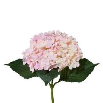 Decorative flower Hydrangea ZURTO, light pink, 22"/55cm Decorative flower Hydrangea ZURTO, light pink, 22"/55cm