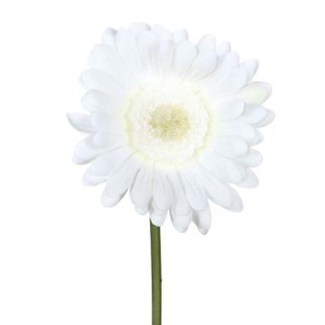 Decorative flower Gerbera TUNZA, white, 20"/50cm Decorative flower Gerbera TUNZA, white, 20"/50cm