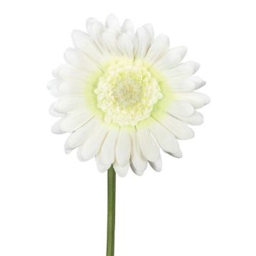 Decorative flower Gerbera TUNZA, cream, 20"/50cm Decorative flower Gerbera TUNZA, cream, 20"/50cm