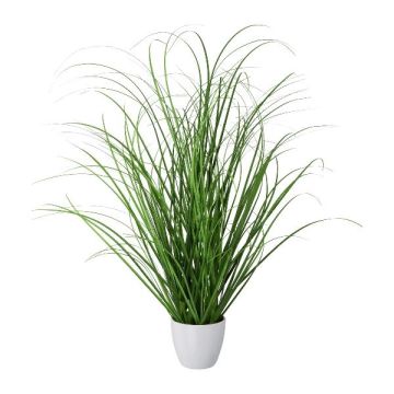 Decorative grass Pennisetum KIVRA in decorative pot, green, 20"/50cm