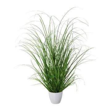 Decorative grass Pennisetum in decorative pot, green, 24"/60cm