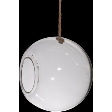 Glass ball terrarium FARO with cord, clear, 10"/25cm, Ø10"/25cm Glass ball terrarium FARO with cord, clear, 10"/25cm, Ø10"/25cm