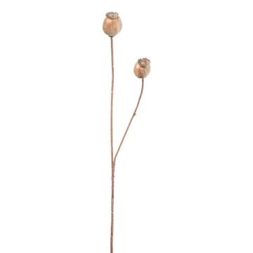 Artificial branch Poppy capsules ORIONLA, light brown, 26"/65cm Artificial branch Poppy capsules ORIONLA, light brown, 26"/65cm