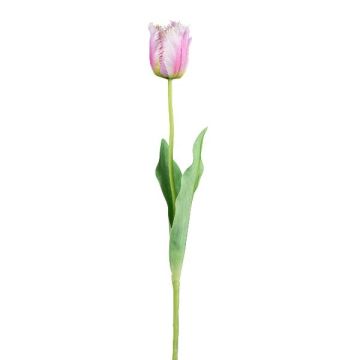Decorative flower Parrot tulip SOLAL, pink, 26"/65cm