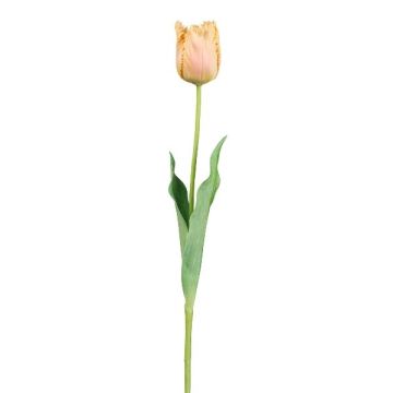 Decorative flower Parrot tulip SOLAL, apricot, 26"/65cm