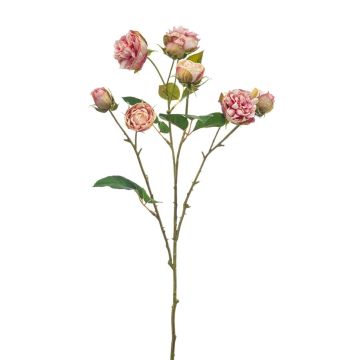 TRUVOL cabbage rose decorative branch, pink-cream, 65cm, Ø2–6cm TRUVOL cabbage rose decorative branch, pink-cream, 65cm, Ø2–6cm