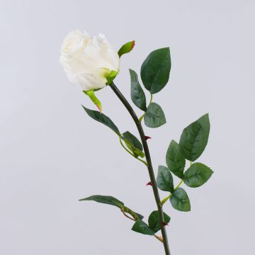 SUNJIK artificial rose, cream, 75cm, Ø7cm SUNJIK artificial rose, cream, 75cm, Ø7cm