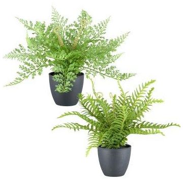 Artificial Fern Mix REFIL, Sword Fern, Lady’s Hair Fern, 2 pieces, decorative pot, green, 30cm, Ø35cm