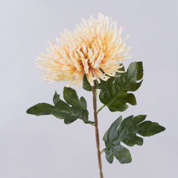 HIKJON artificial chrysanthemum, cream-apricot, 75cm, Ø18cm HIKJON artificial chrysanthemum, cream-apricot, 75cm, Ø18cm