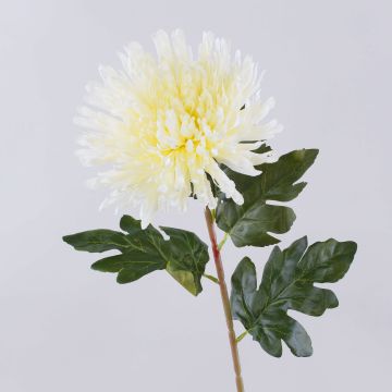 HIKJON artificial chrysanthemum, cream-white, 75 cm, Ø 18 cm HIKJON artificial chrysanthemum, cream-white, 75 cm, Ø 18 cm