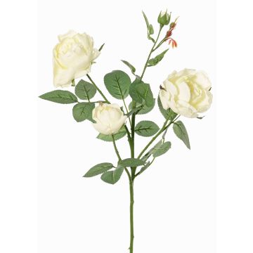 Artificial rose branch DIAMANTIS, cream, 70 cm, Ø5–8 cm Artificial rose branch DIAMANTIS, cream, 70 cm, Ø5–8 cm