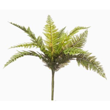 False Boston fern BARIAN on spike, green, 20"/50cm