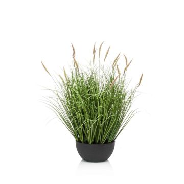 False fountain grass WALERIAN in decorative bowl, with panicles, green, 24"/60cm