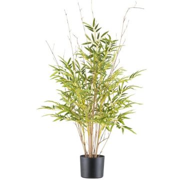 Decorative tree Japanese arrow bamboo EDENA, natural stems, 3ft/90cm