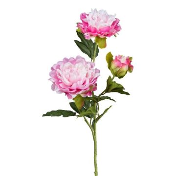 Artificial peony branch SLORMEK, pink-white, 26"/65cm