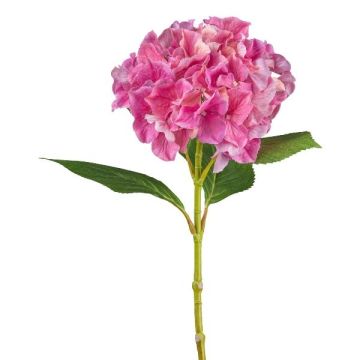 Decorative flower Hydrangea FUSTRAL, fuchsia, 26"/65cm