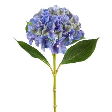 Decorative flower Hydrangea FUSTRAL, blue-green, 26"/65cm, Ø7.1"/18cm Decorative flower Hydrangea FUSTRAL, blue-green, 26"/65cm, Ø7.1"/18cm