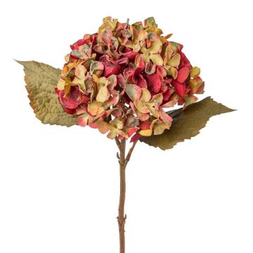 Decorative flower Hydrangea TESSENCE, green-red, 18"/45cm
