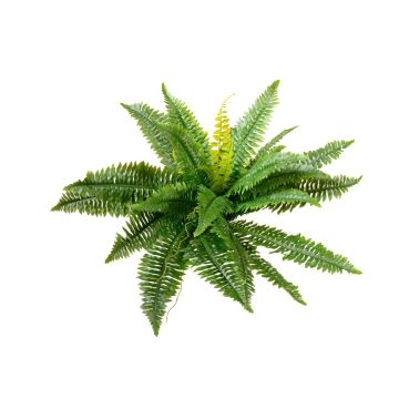 False Boston fern MANON, spike, green, 20"/50cm