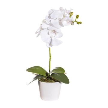 False Phalaenopsis orchid TRALKE, decorative pot, roots, white, 16"/40cm False Phalaenopsis orchid TRALKE, decorative pot, roots, white, 16"/40cm