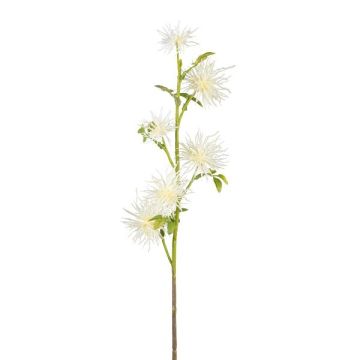 Decorative branch Globe thistle ZORLIM, white, 22"/55cm