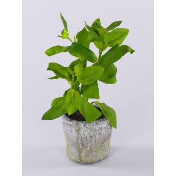 Artificial basil POLINDA in a decorative pot, green, 26cm