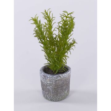 Artificial herbs: Rosemary POLINDA in a decorative pot, green, 26cm Artificial herbs: Rosemary POLINDA in a decorative pot, green, 26cm