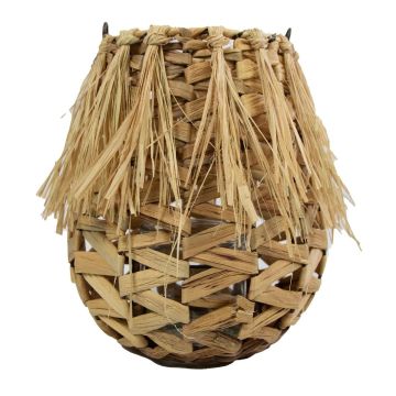 NATASCIA natural fibre lantern, water hyacinth, handle, glass insert, brown, 27 cm, Ø17 cm NATASCIA natural fibre lantern, water hyacinth, handle, glass insert, brown, 27 cm, Ø17 cm