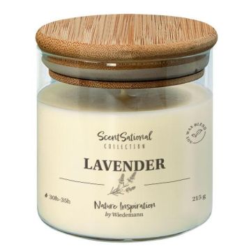Scented candle FERDINANDINE in a glass jar, lavender, soya wax blend, ivory, 3.1"/8cm, Ø3.1"/8cm, 30 hours - Made in Germany Scented candle FERDINANDINE in a glass jar, lavender, soya wax blend, ivory, 3.1"/8cm, Ø3.1"/8cm, 30 hours - Made in Germany