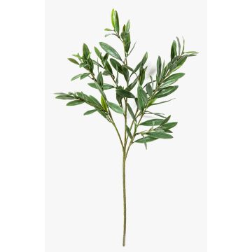 Artificial olive branch BRANDAR, green, 70cm