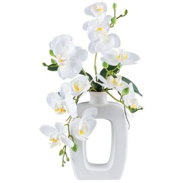 False Phalaenopsis orchid DRUKLON, ceramic vase, roots, white, 16"/40cm
