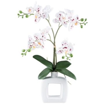 False Phalaenopsis orchid DRUKLON, ceramic vase, roots, white-red, 16"/40cm False Phalaenopsis orchid DRUKLON, ceramic vase, roots, white-red, 16"/40cm