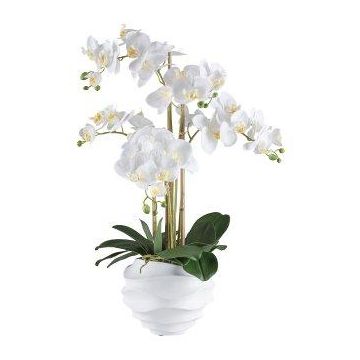 False Phalaenopsis orchid STONFER, white decorative pot, roots, white, 28"/70cm