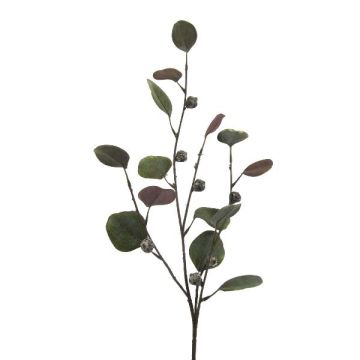 False branch of eucalyptus TRAVON with fruits, green, 30"/75cm