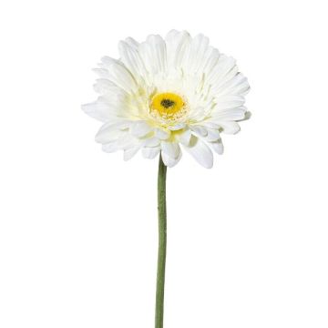 Artificial gerbera VORNEK, white, 26"/65cm