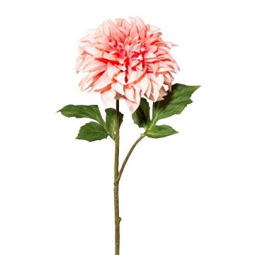 Artificial dahlia TRIMK, pink-peach, 22"/55cm, Ø5.9"/15cm Artificial dahlia TRIMK, pink-peach, 22"/55cm, Ø5.9"/15cm
